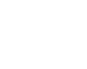 VPK